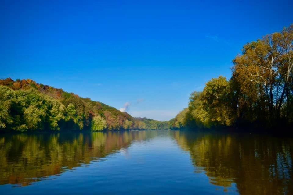 Martin'S River Cabin Dresden Luaran gambar